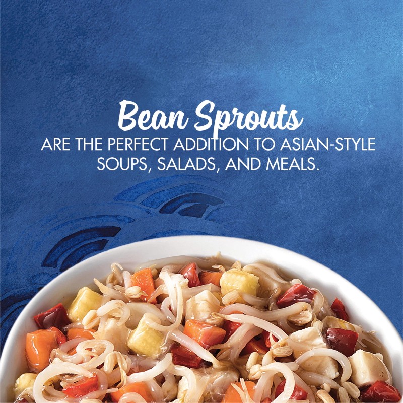 Unbranded (4 pack) La Choy Bean Sprouts, Canned Vegetables, 14