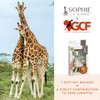 Sophie the Giraffe x GCF (Giraffe Conservation Foundation) Gift Set