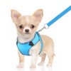 DoggieKit Dog Harness for Small Medium Dogs No Pull Adjustable