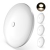 GZV RV Interior Lights, RV LED Ceiling Puck Light, 4