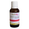 Esencia Aromatica 30 Ml Para Aromaterapia Difusor Jabón Vela