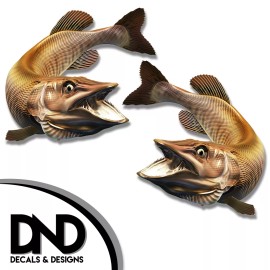 Tiger Musky - Fish Decal Fishing Tackle Box Bumper Sticker "5in SET" F-0930 D&