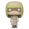 Funko Pop Box Attack on Titan Special Edition