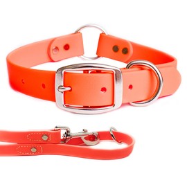 Regal Dog Products Small Orange Waterproof Dog Collar and Leash Set - Vinyl Coated, Biothane Puppy Pet Training Collar with Heavy Duty Center Ring & 5'ft Leash - Other Sizes for Medium & Large Dogs