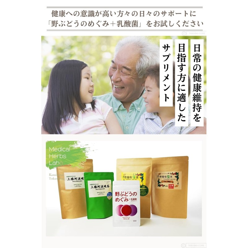 野ぶどうのめぐみ＋乳酸菌 サプリメント・30錠 【約1ヶ月分】 （野葡萄/Nab ）