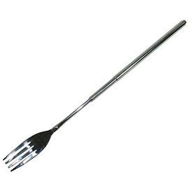 Schylling Extendable Fork