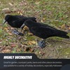 Volein Crow Decoy for Attracting Crows, 2-Pack Plastic Fake Crows
