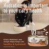 Wellness CORE+ Digestive Health Grain-Free Natural Wet Cat Food, Sensitive