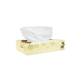 Meditrade Cosmetic Tissues 2-Ply | Pack of 100