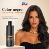 Champú Tinte 3 En 1 Cubre Canas Jengibre Natural 100ml
