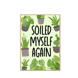 Honey Dew Gifts, Soiled Myself Again, Funny Magnets, Fridge Magnet, Small Magnets, Funny Locker Decorations, Plant Magnets, Succulent Magnets, Gifts for Gardeners, 2.5 inch by 3.5 Inch, 754749