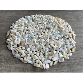 Wholesale Natural Semi Tumbled Mother of Pearl Gemstone Chips, Crushed Mini Crystals, Undrilled Crystal Chips (Mother of Pearl, 1 Pound)
