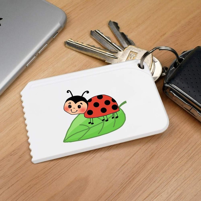 Azeeda 'Ladybird' Plastic Ice Scraper (IC00034669)