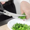 Kyoto Utsuyoku Ultra Long Curved Kitchen Scissors, Made in Japan