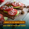 Urban Platter Brazil Nuts (250 g)