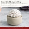 Airomé White Succulent, Porcelain Passive Essential Oil Diffuser (with 15ml