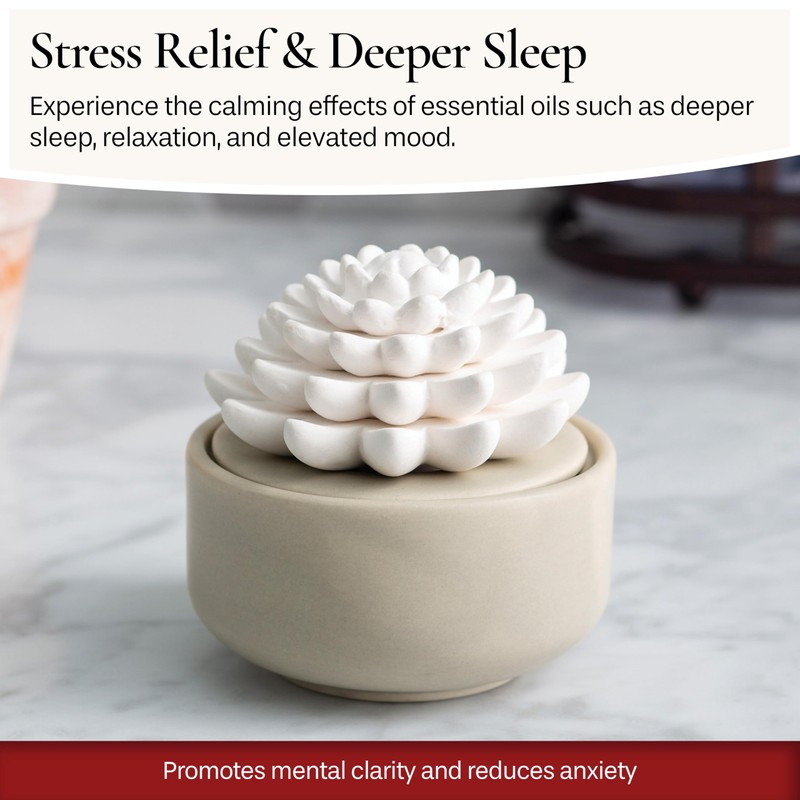 Airomé White Succulent, Porcelain Passive Essential Oil Diffuser (with 15ml