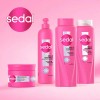 Co-Creations Ceramides Sedal,