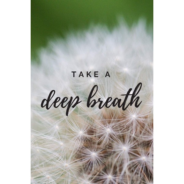 Take a Deep Breath: The perfect dandelion journal to write
