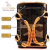 Buddy's Best Airline Approved Pet Carrier – Black & Orange