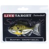 Fishing Tackle Lures Swimbait Bronze Bluegill