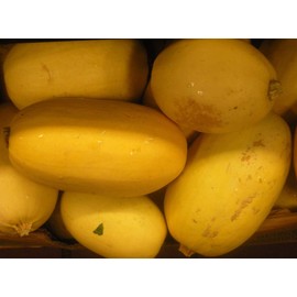 CEMEHA SEEDS - Seeds Zucchini Courgette Squash Spaghetti Yellow Non GMO Vegetable for Planting