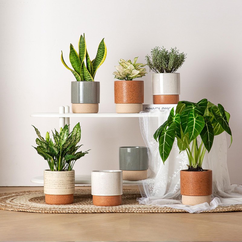 Chubacoo Self Watering Plant Pot: 6 Inch Ceramic Planter with