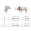 Blind Dog Collar Lightweight Adjustable Protective Ring Anti Collision Blind