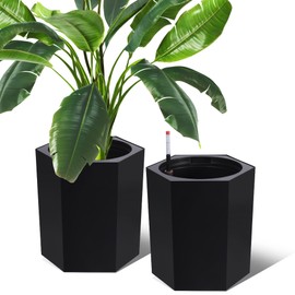 GarveeLife 16 Inch Tall Planters Set of 2, Self Watering Pots with Water Level Monitor, Bottom Wheels and Drainage Hole, Outdoor & Indoor Plant Pots for Garden, Patio, Balcony, Lounge, Black