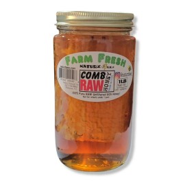 NATURZ BEEZ RAW HONEY COMB 1LB 100% PURE UNFILTERED USA HONEYCOMB