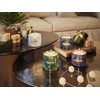 Candle-Lite Christmas Scented Candles, Mistletoe & Berries Scent, 14 oz