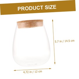 Totority Hydroponic Plant Glass Terrarium Bottle Transparent Ecological Vase for Indoor Desktop Decoration Compact Micro Landscape Planter Suitable for Home Office Bedroom