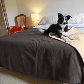 Catalonia Waterproof Bed Blanket for Intimacy, Blankets for Couples Leakproof, Waterproof Pad for Adults, Squirt Blanket for Bed Washable, King Size