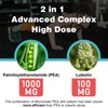 Liposomal Palmitoylethanolamide 1000 mg + Luteolin 100 mg, Micronized Pea