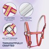 JWODVNTH Adjustable Horse Halter with PP Webbing, Durable Horse Halters