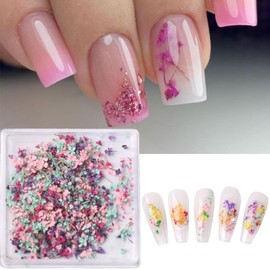 1Box Dried Flowers Stickers for Nail Art,12Colors Dry Flowers Mini Real Natural Flowers Nail Art Supplies 3D Gypsophila Floral Nail Decoration Sticker for Women Manicure Decor Makeup DIY Accessories