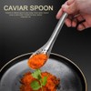 3 Pcs Caviar Spoon Spherification Spoons Stainless Steel Caviar Spoons