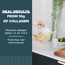 Ancient Nutrition Multi colágeno proteína en polvo, sabor a lima de pepino, formulado por Dr. Josh Axe, 5 tipos de colágeno, apoya el cabello, articulaciones, piel y uñas, hecho sin lácteos o gluten, 18 onzas
