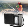 Bluetooth 4.0 Radio Receiver Portable MultiBand Manual Setting with Telescopic
