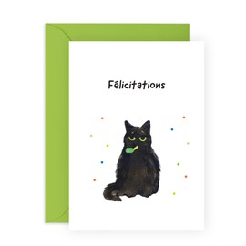 Central 23 Carte felicitation pour homme femme - Carte de chat sarcastique - Carte de félicitations pour l'obtention du diplôme, nouvel emploi, examen réussi - Avec des autocollants - par