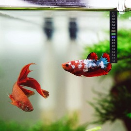 HADIIH Pack of 12 Portable Aquarium Stick-on Thermograph Temperature Measurement Celsius Thermometer Stickers