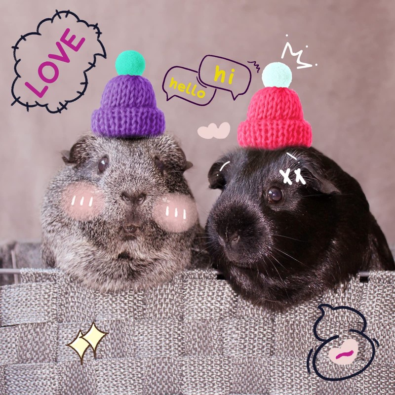 Kajaia 10 Pieces Pet Snake Hat Hamster Hat with Adjustable