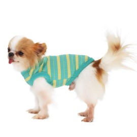 LOPHIPETS 100% Cotton Rib Dog Shirt Vest for Small Dogs Chihuahua Puppy Clothes Tank Tee-Green/M
