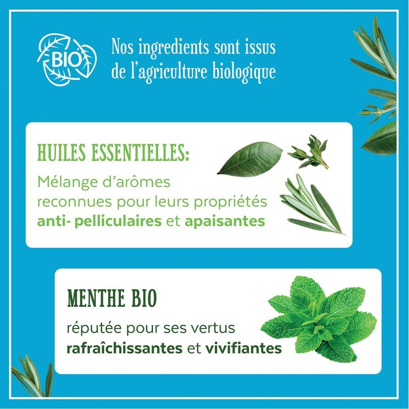 Le Petit Marseillais 2-in-1 Shampoo Anti-Dandruff Mint Organic and Essential