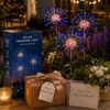 Solar Firework Garden Light for Outdoor Decor – Copper Wire