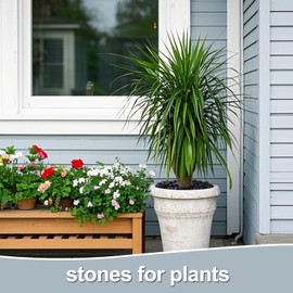 Calofulston 2.2LB Black Rock, Small River Stones Pebbles for Plants, Vases, Landscaping, Highly Polished Decorative Rocks, 1-1 3/4 Inch