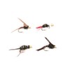 ANCLLO Pack of 12 Top Rated Dry/Nymph/Streamer Fly Fishing Fly
