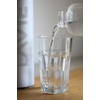 LaVie 2GO Flasche aus Borosilikatglas, 500 ml, 2GO Wasserreiniger