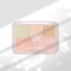 Luna Conceal Blender Palette, 01 Clear Cover, 1 piece / 루나 컨실 블렌더 팔레트, 01 클리어 커버, 1개
