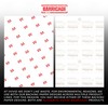 VViViD Barricade Clear Paint Protection Film (4” x 60”)